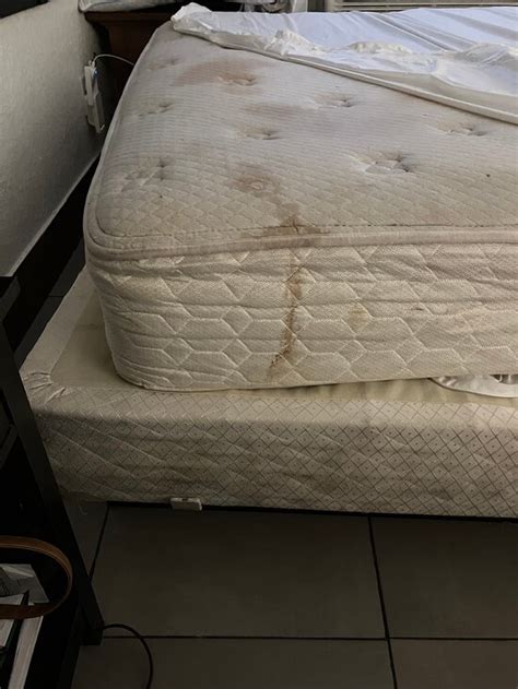 OCOTILLO APARTMENTS & HOTEL (Phoenix) - Hotel Reviews, Photos, Rate ...