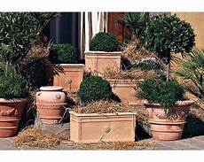 vasi e fioriere vasi in terracotta prezzi vasi da giardino vasi e fioriere vasi in terracotta prezzi vasi da giardino