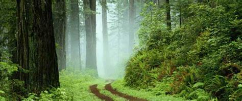 Corporate Training Team | Learning Touch