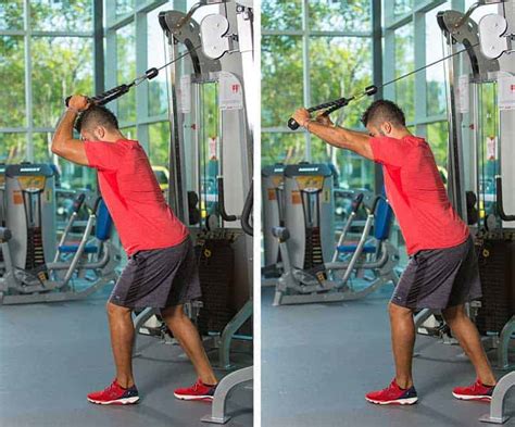 Image result for Tricep Machine Exercises