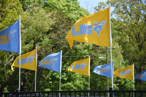 International | Long Island University