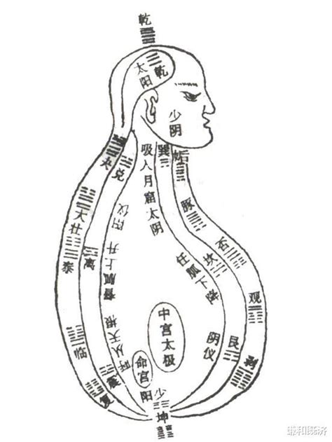 中医脏腑理论图设计图__广告设计_广告设计_设计图库_昵图网nipic.com