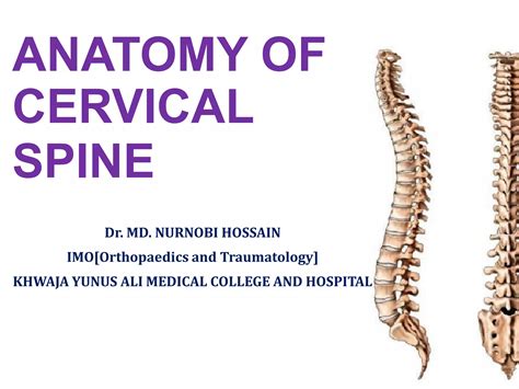 Anatomy of cervical spine | PPTX