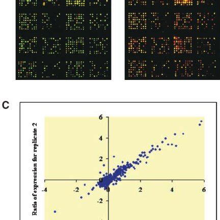 Microarray Analysis Explained 的图像结果