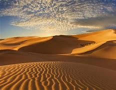 Image result for 漠 desert