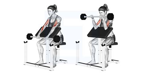 Image result for Push Back Push-Up