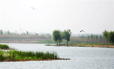 组图：京杭运河扬州段出现10年来最低水位_新闻中心_新浪网