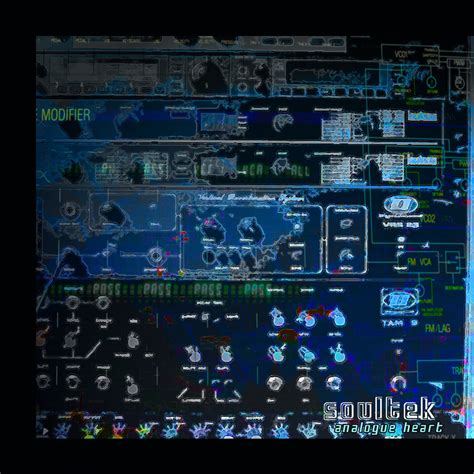 analogue heart [nsc remastered LP edition] | soultek | echospace313