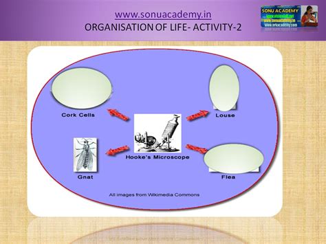 Image result for Structural Unit