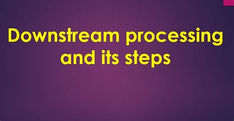 Downstream Processing Procedure 的图像结果