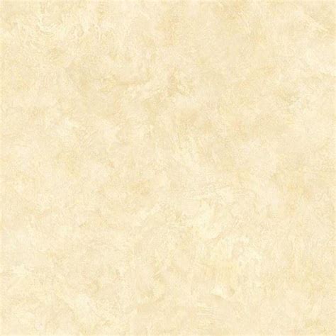 Shell Texture Vector 的图像结果