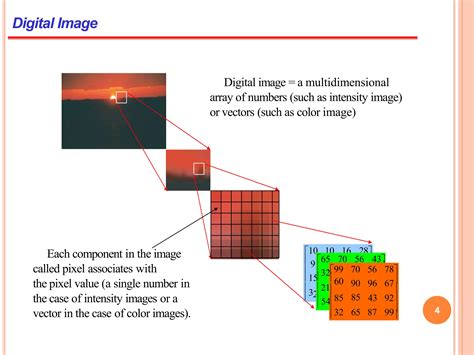 Image result for Difference Between Sampling and Quantization