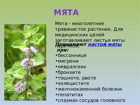 Презентация к уроку Окружающего мира во 2 классе "Растения в домашней ...