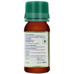 Buy Auris Natural Pineapple Essence - Concentrated, For Baking, Cakes ...