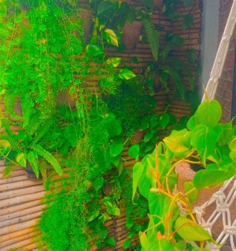 Aldeia Zen Massoterapia (Fortaleza) - 2022 What to Know Before You Go ...