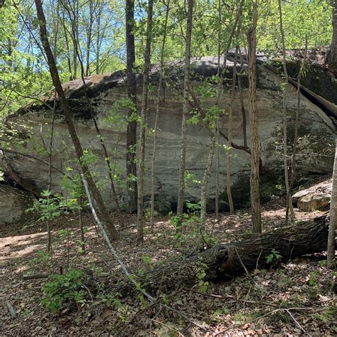 Buffalo Creek Park Loop and Extension - North Carolina | AllTrails
