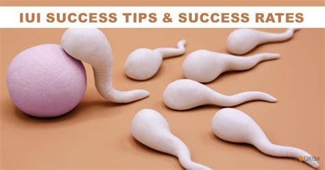 IUI Success On First Try 的图像结果