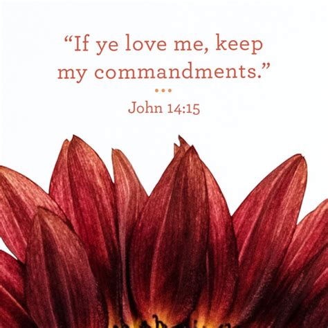 Image result for LDS Scriptures