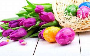 Image result for Top 3 Easter Flowers