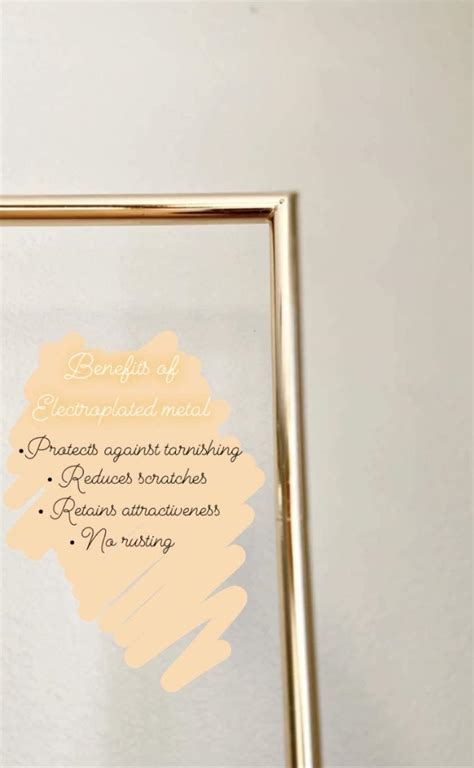 LOVESUPPLIES Gold Portable Photo Background Frame Kit | Includes India ...