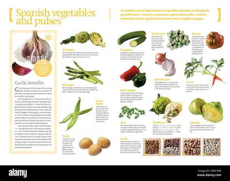 Infographics About Food In Spanish