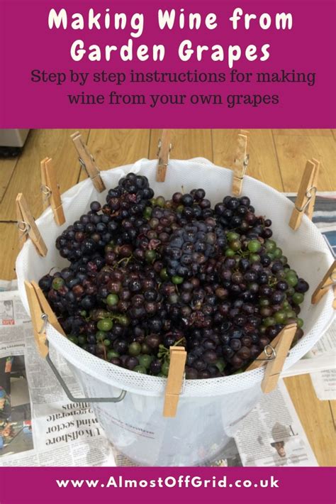 Image result for Easy Homemade Wine Using Grapes