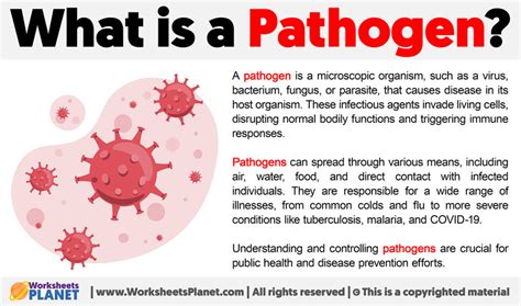 Image result for Pathogen Explanation