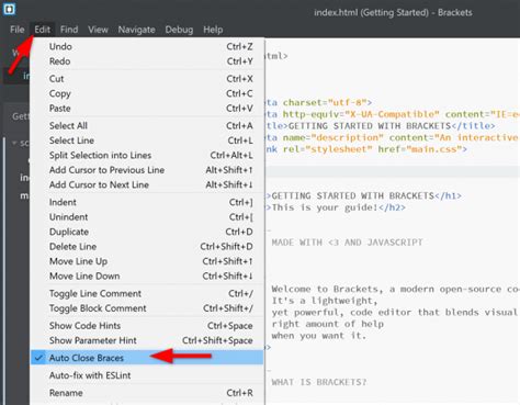 Brackets Editor Tutorial 的图像结果