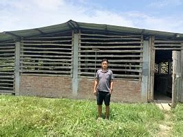 Boosting the Pig Production in Nagaland with Rani Pig | ICAR