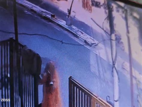 Dog roamed on streets having newborn's body in its mouth