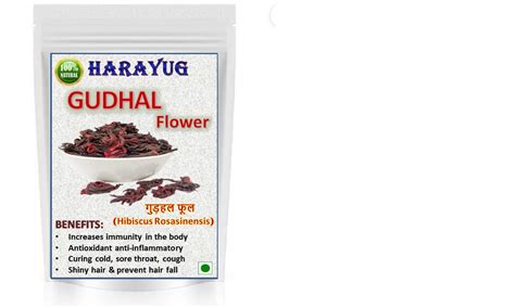 HARAYUG GUDHAL PHOOL - HIBISCUS FLOWER - GUDHAL FLOWER - HIBISCUS ROSA ...