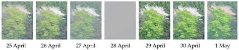 Multi-Timescale Education Program for Temporal Expansion in Ecocentric ...