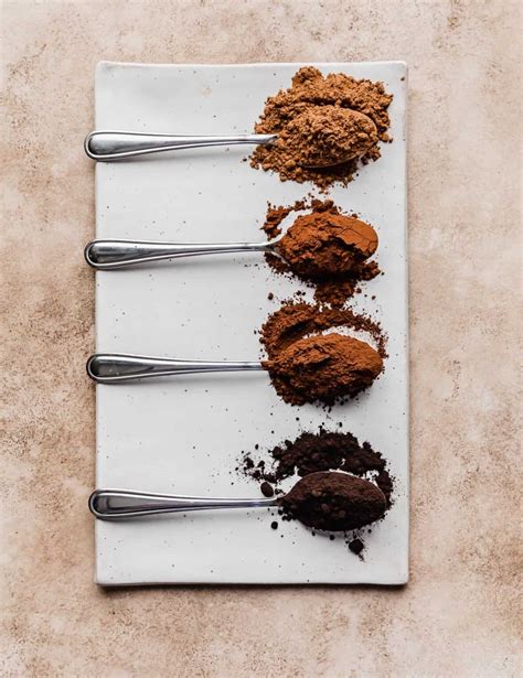 Best Cocoa Powder for Baking — Salt & Baker