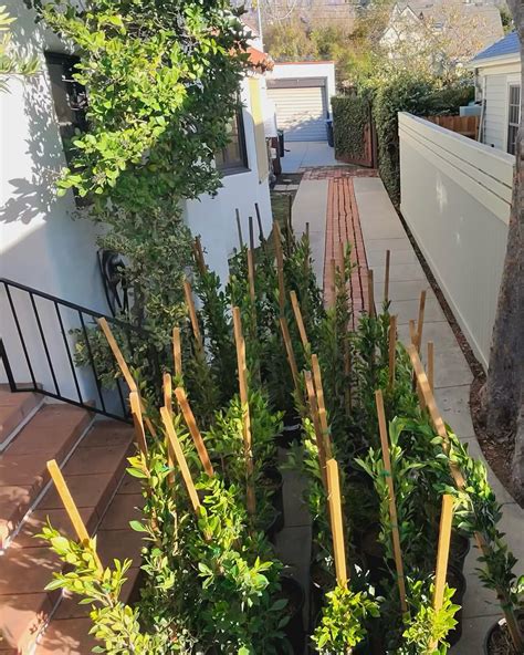 Pine Hills Nursery | POV: Taking 2 Deliveries in one day! 1st Delivery ...