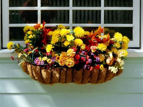 Top 5 plants for Autumn Hanging Baskets - Primrose Garden Club | Expert ...