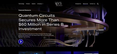 Quantum Circuits 的图像结果