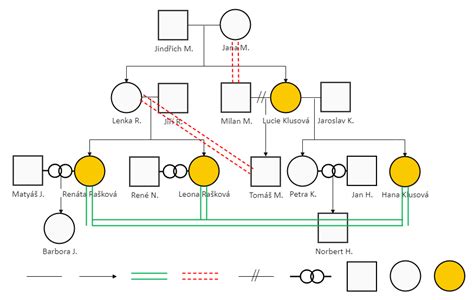 Image result for Cellular Network Examples