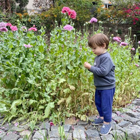 Image result for Spring Break Rosario