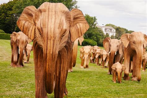 The Great Elephant Migration - National Museum of Wildlife Art