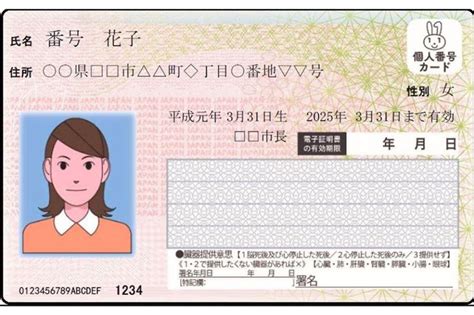 日本身份證 – 身份證字號驗證 – Airbereak