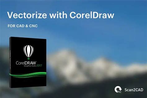 How to Set CorelDRAW to Vector 的图像结果