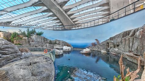 Montreal Biodome set to reopen Aug. 31 after two-year revamp | CTV News