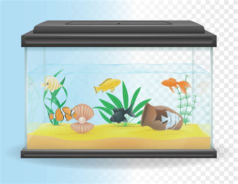 transparent aquarium vector illustration 493802 Vector Art at Vecteezy