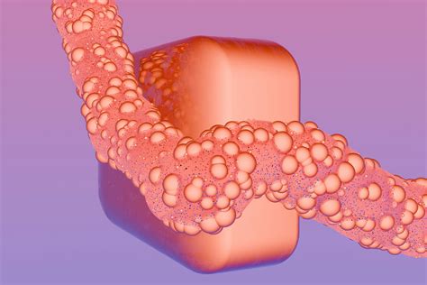 Image result for Endocrine System Transparent Background