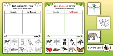 Image result for Insect Sorting