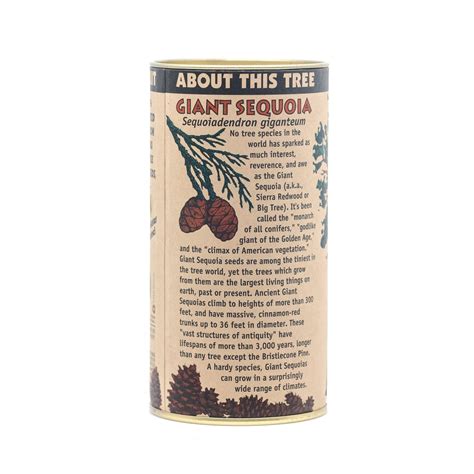 Giant Sequoia | Seed Grow Kit – SequoiaTrees.com