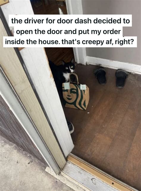 Delivery Fails 的图像结果