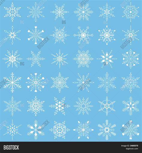 벡터 및 사진(무료 체험) | Bigstock