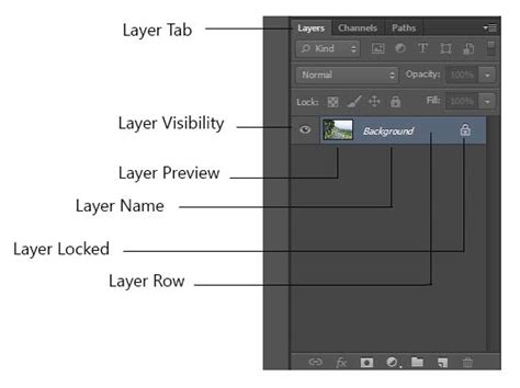 The Layers Panel Full-Course Tutorial 的图像结果