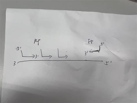 3489 questions with answers in PRIMER | Scientific method